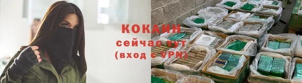 COCAINE Богородицк