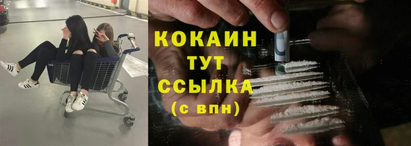 COCAINE Богородицк
