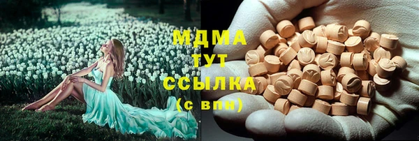 apvp Богданович
