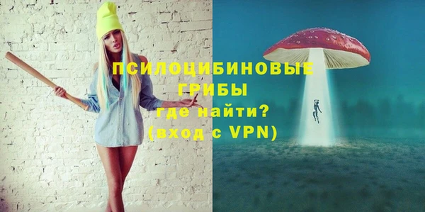 apvp Богданович